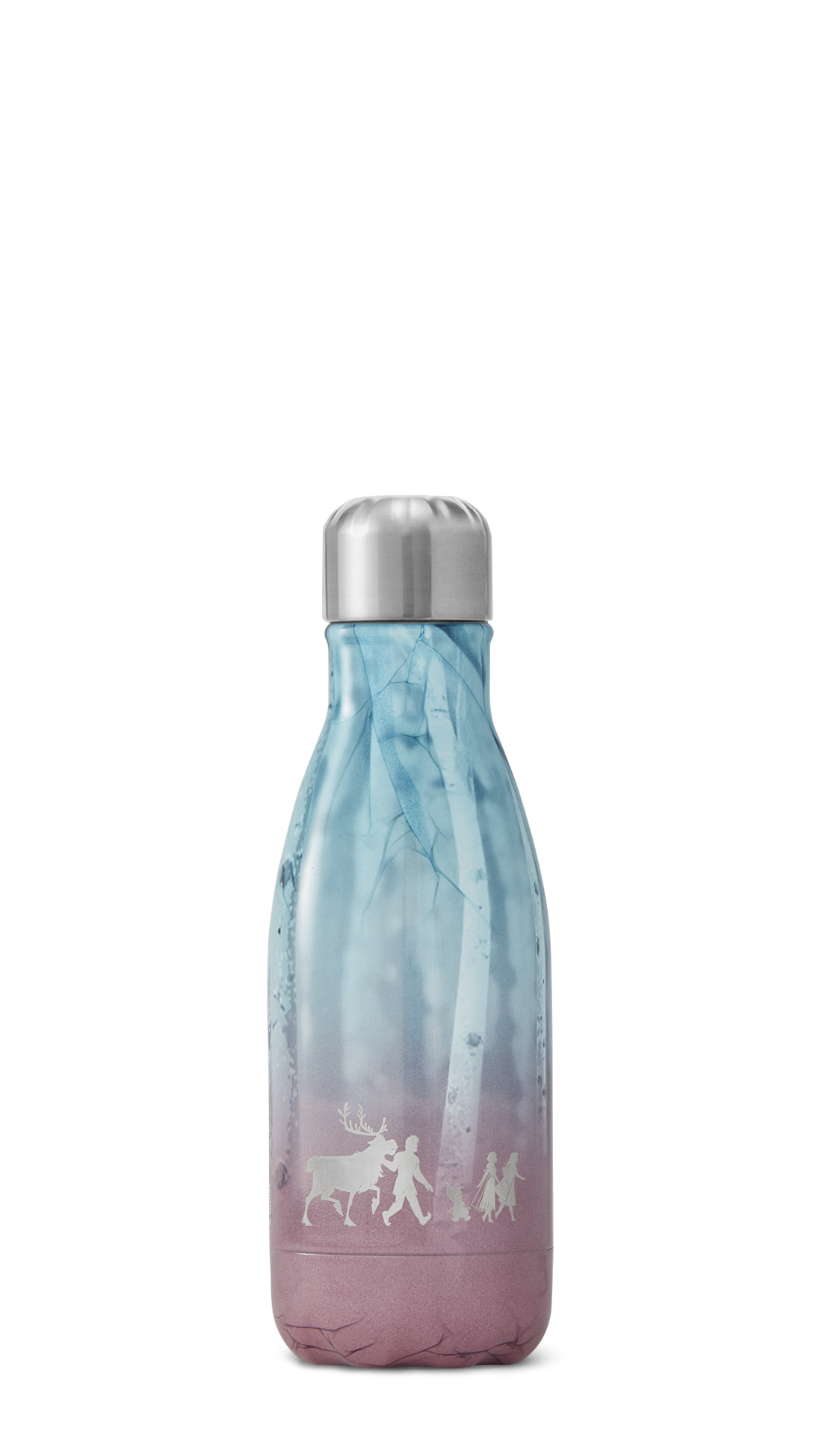Disney Frozen 2 Frozen Quest S'well Water Bottle