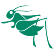 The Grasshopper Shop